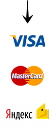 VISA MasterCard YandexMoney